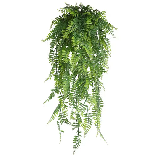 Fausses plantes fougère