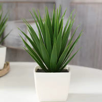 Fausse plante en pot