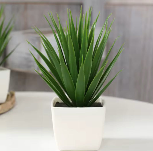 Fausse plante en pot