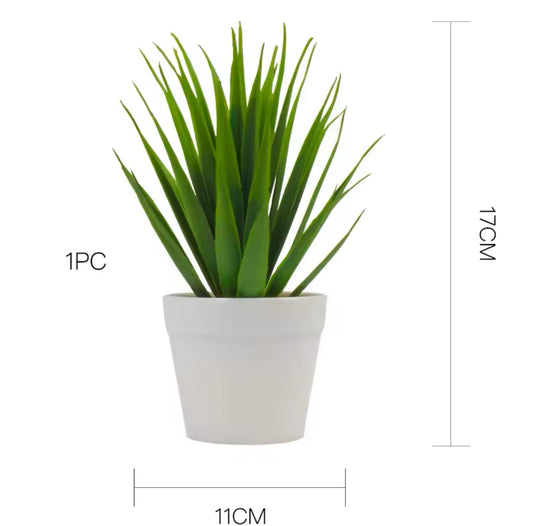 Fausse plante en pot